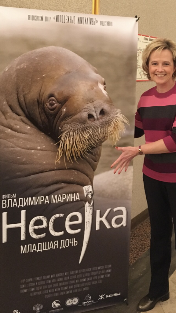 2020-10-19 14-33-04.PNG